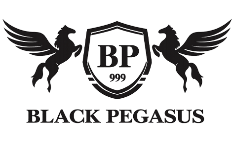 Black pegasus (1)